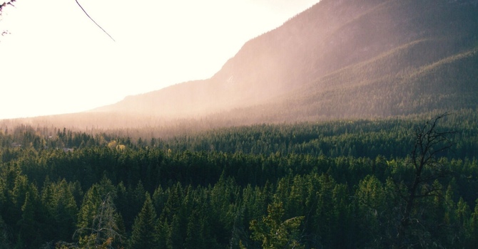 Importance of Strength Training in Women